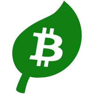 BitGreen 