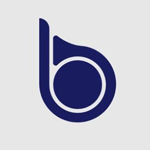 BKEX Token 