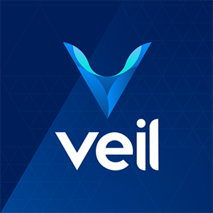 Veil 